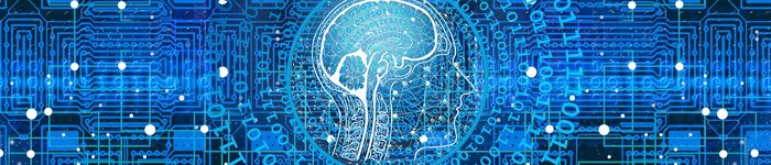 digital network and brain