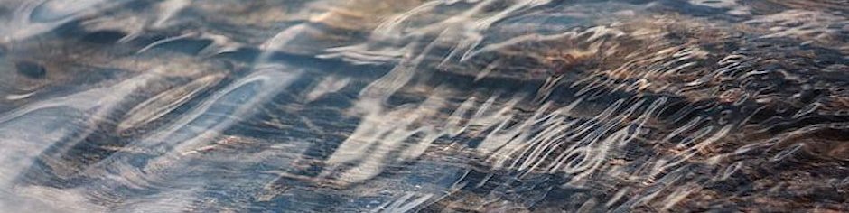 Image for RSE meeting