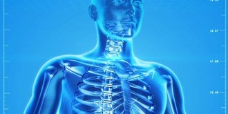 skeleton and DNA strand